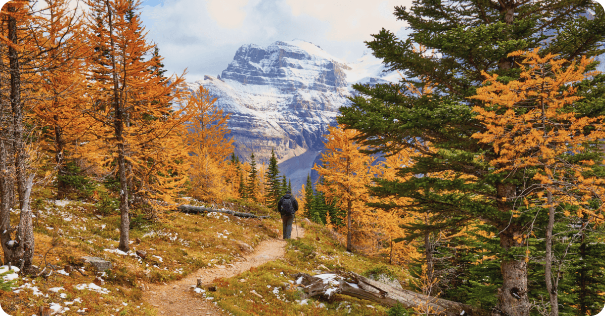 Fall Banff Backgrounds The best time to visit Banff: A complete guide | Saily